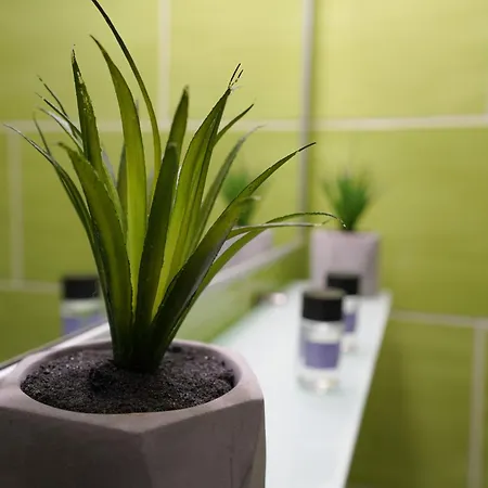 Vilaeti Stone Apartamento *